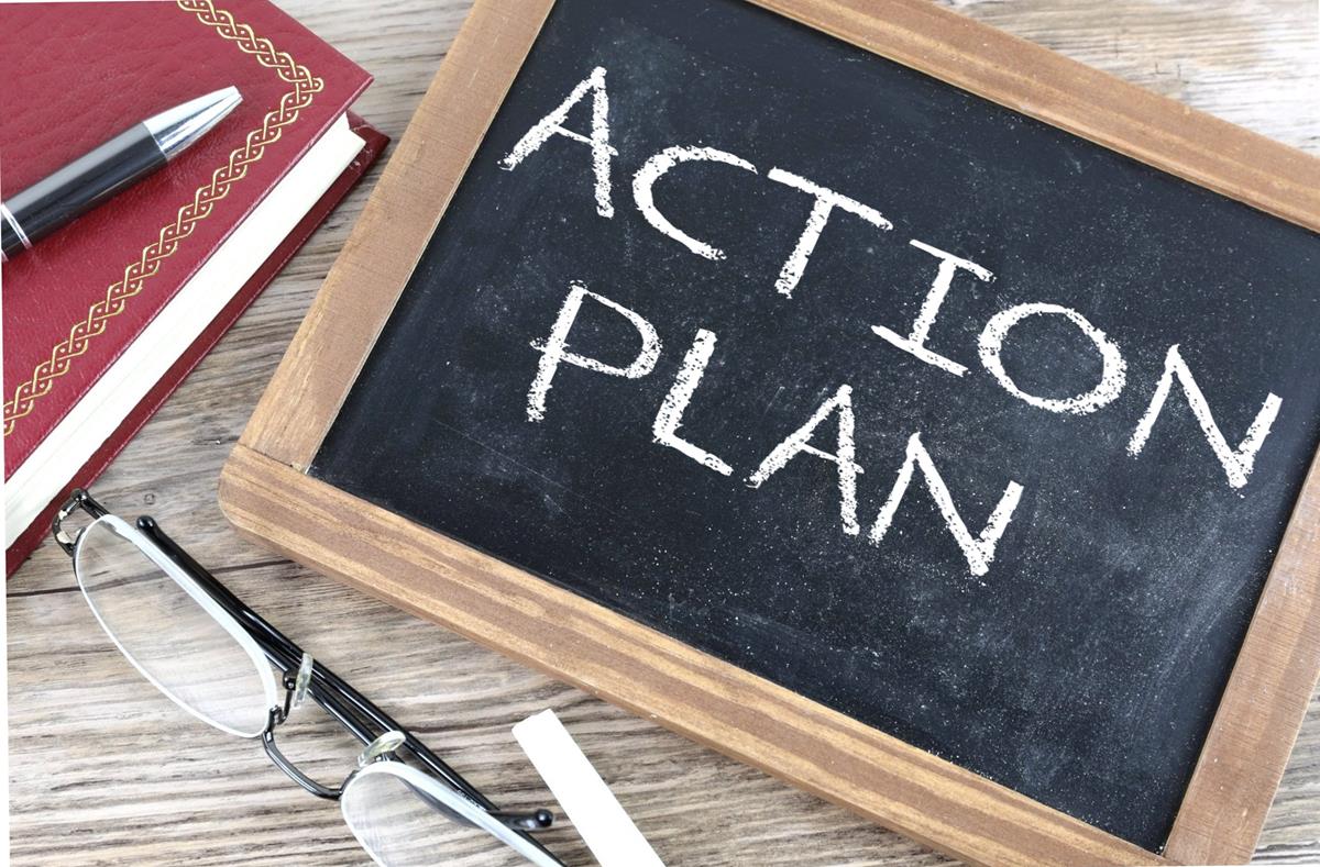 Action Plan