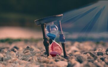 What to Do With My Life