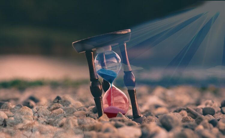 What to Do With My Life