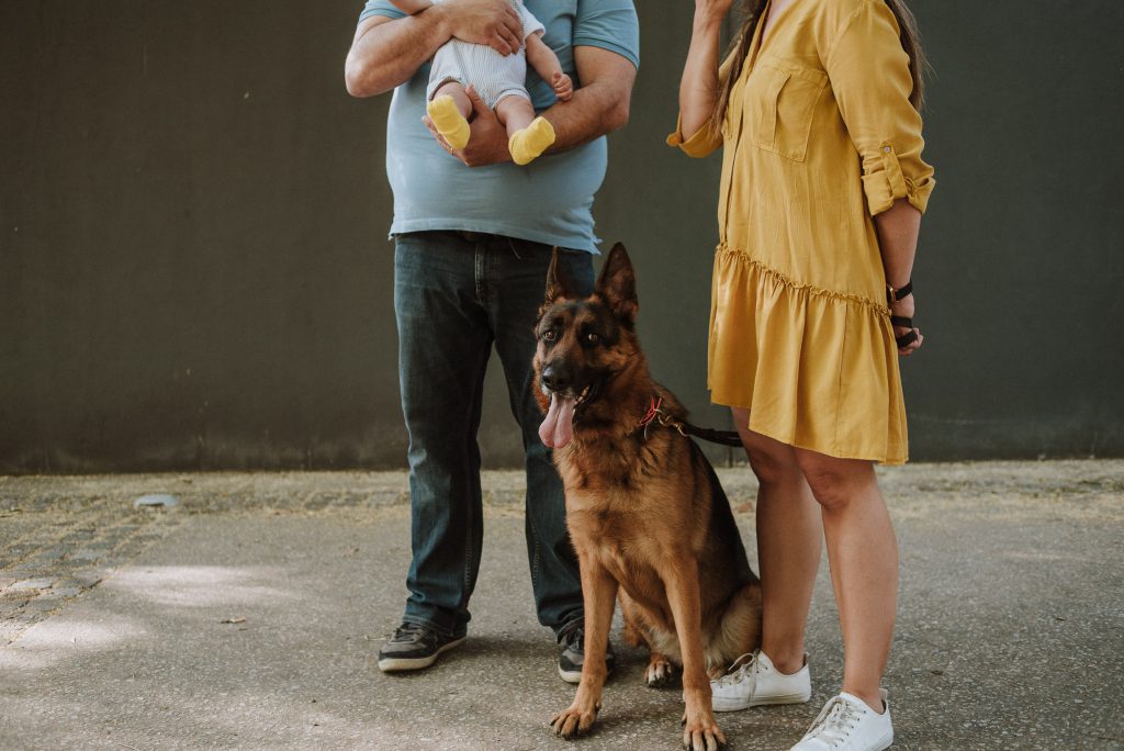 GERMAN SHEPHERD LOVE YOU