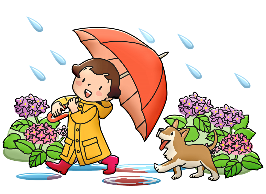 dog play on rainy days