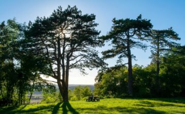 The Best Places to Move to in Maryland's Suburbs