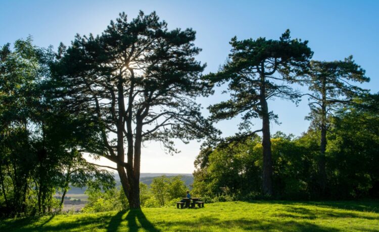 The Best Places to Move to in Maryland's Suburbs