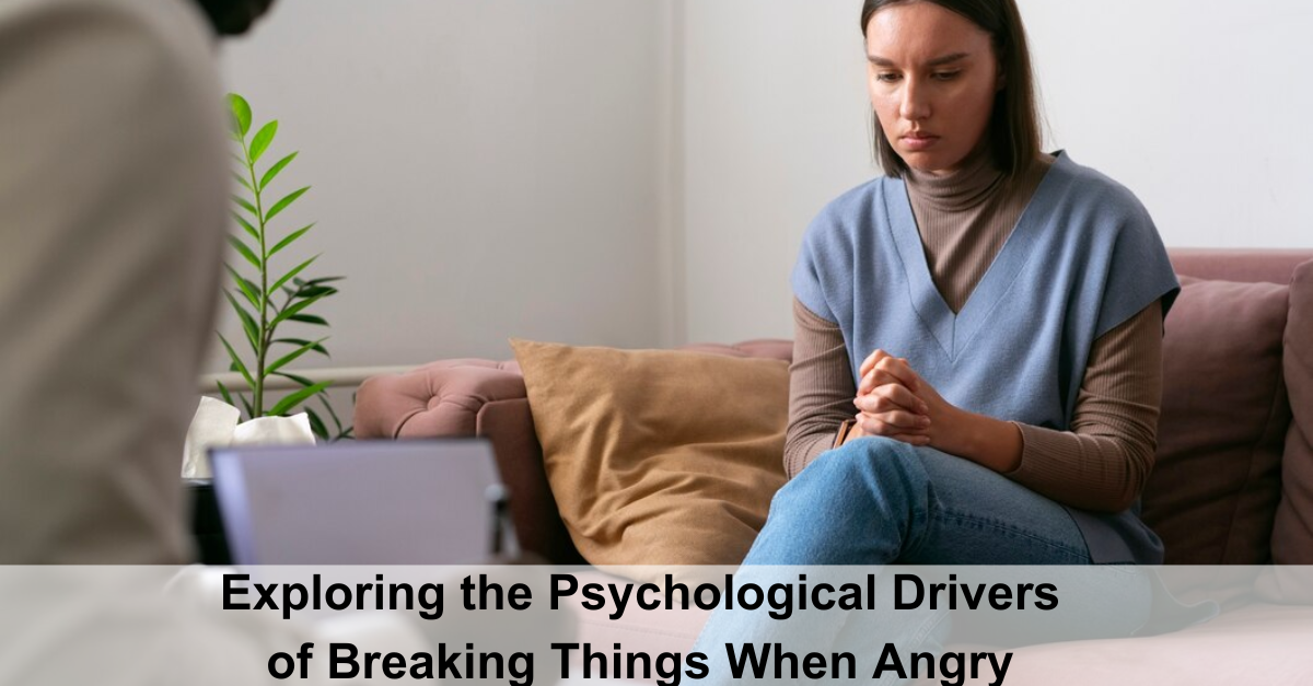 Exploring the Psychological Drivers of Breaking Things When Angry