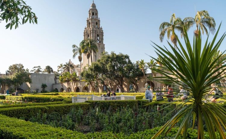 Large church, park with palm trees and benches in California