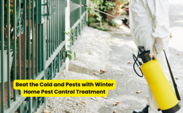 Beat the Cold and Pests with Winter Home Pest Control Treatment