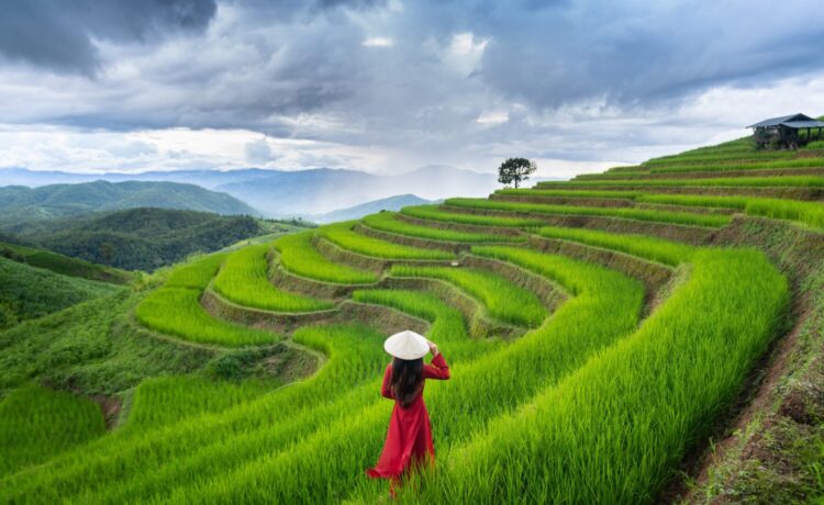 Avoid Common Tourist Mistakes When Booking a Vietnam Tour