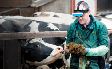 Smart Strategies for Selecting Your Ideal Poultry Products Franchise Partner