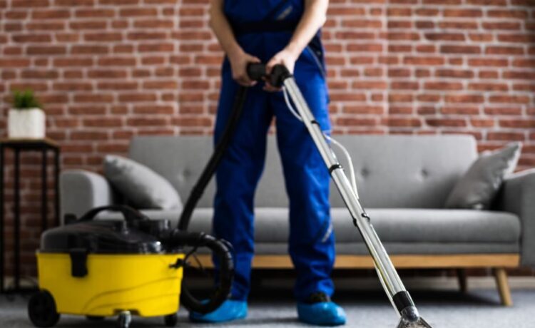 Why Carpet Cleaning Is Essential for Pet Owners