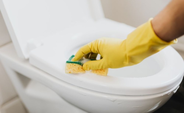 Flushing Toilet Clogs: Common Mistakes to Avoid